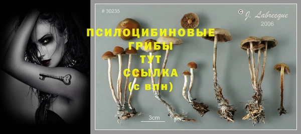 метадон Никольск